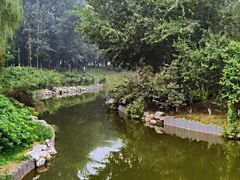 -大兴滨河森林公园