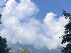 -陕西省红河谷森林公园