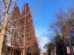 -大连理工大学(凌水校区)
