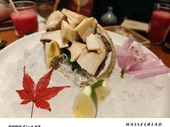-月龍吟(朝龙汇店)