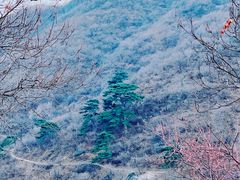 -香山公园