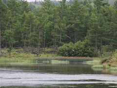 -洮儿河国家湿地公园