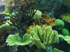 -福州罗源湾海洋世界旅游区