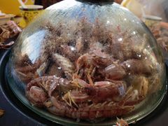 -春华海鲜城(广场西苑店)