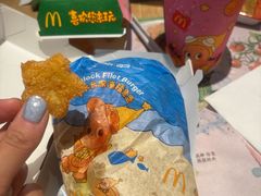 -麦当劳(花园北路店)