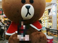 -line friends(明洞旗舰店)