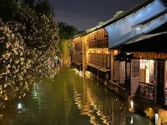 -乌镇西栅景区