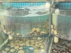 -仙螺岛海鲜自助餐厅(总店)