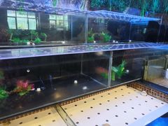 -千百叶海鲜自助餐厅(万达广场店)