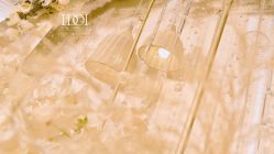 -IDOI婚礼策划·IDOIWEDDING