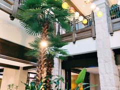 -太湖饭店玉兰厅(自助餐厅)