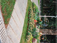 -人民公园(罗湖区)