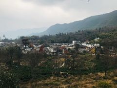 -塔川景区
