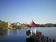 -大塘金香草谷
