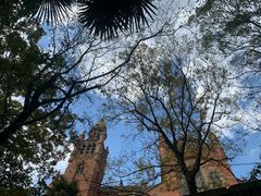 -上海佘山国家森林公园西佘山园