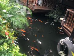 -优之名鹅城