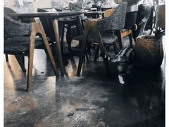 大堂-咖法森林·咖啡  酒吧(天河店)