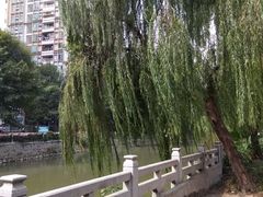 -晓港公园