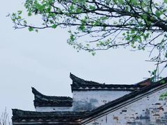 -纯K(华远店)