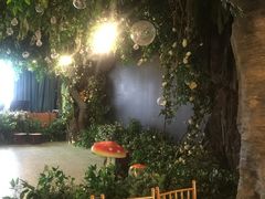 -宁小厨新星大酒店