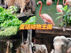 -长鹿旅游休博园