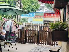 -柴犬高等学院·狗咖·柴犬售卖·宠物训练