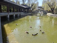 -团结湖公园