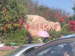 -五缘湾湿地公园