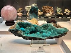 -湖南省地质博物馆