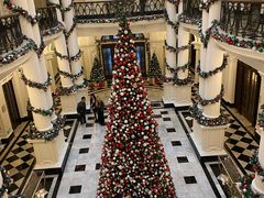 -Salon de Ville浦江汇(上海外滩华尔道夫酒店店)