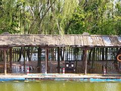 -微山湖红荷湿地景区