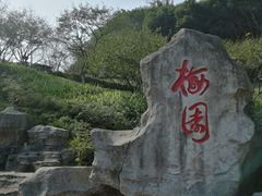 -重庆彩云湖湿地公园