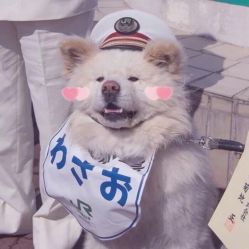 -禾里設計
