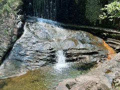 -大奇山国家森林公园