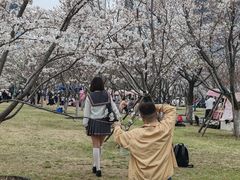-西北湖绿化广场