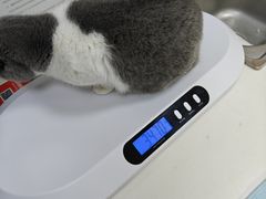 -美美宠物诊疗中心·异宠·骨科(滨江东信分院)