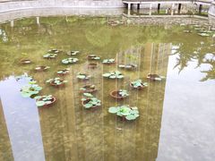-西安市纺织公园