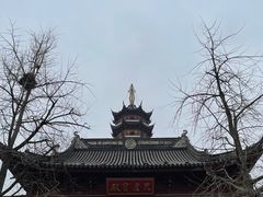 -鸡鸣赐茶(鸡鸣寺路店)