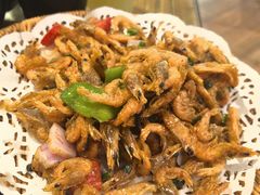 潮州小河虾-潮十三潮汕砂锅粥(高新四路大都荟店)