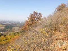 -帽儿山国家森林公园