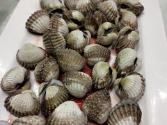 -华盛丰温州大排档(东三环南路店)