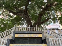 -水围村