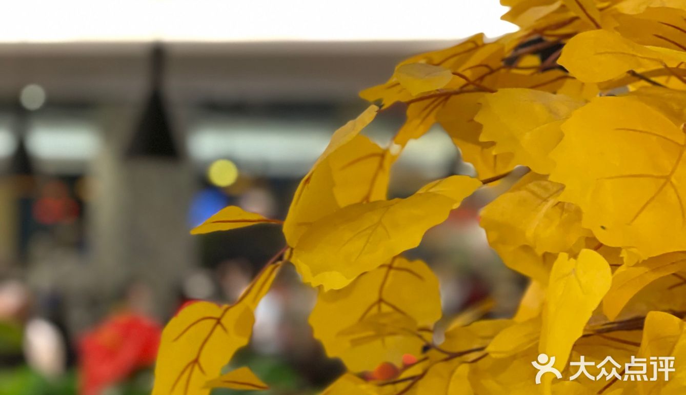 新疆菜天花板——烤羊肉包子打开新世界[流泪]✨