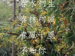 -深圳仙湖植物园