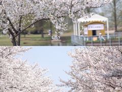 -上海辰山植物园