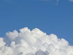 -小小河边鱼·黄辣丁鲜鱼锅(黎阳店)