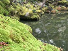 -西芳寺(苔寺)