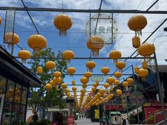 -老凯俚酸汤鱼(多彩城店)