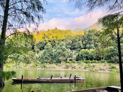 -深圳仙湖植物园