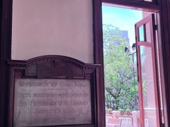 -香港大学